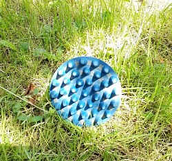 Massagestriegel zur Anregung des Lymphflusses bei der Pferdetherapie.